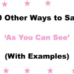 ‘As You Can See’