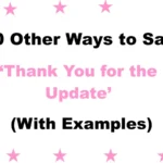 Other Ways to Say ‘Thank You for the Update’