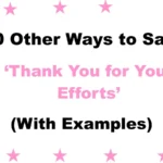 Other Ways to Say ‘Thank You for Your Efforts’